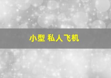 小型 私人飞机